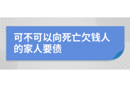 涟源涟源的要账公司在催收过程中的策略和技巧有哪些？